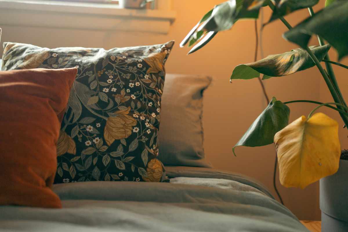 Make your home work better for you Nova Scotia Home Renovations picture of a comfy home with a cushion in sunlight